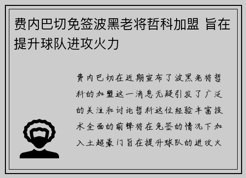 费内巴切免签波黑老将哲科加盟 旨在提升球队进攻火力